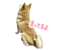 844240128