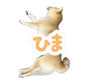 844240133