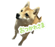844240137