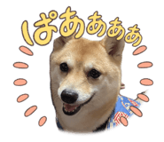 844240143