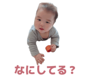 844240242