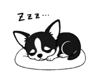 844240302