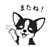 844240304