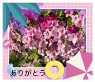 844240744