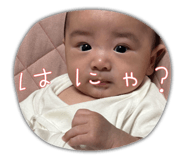 844241110