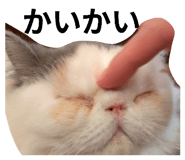 844241190