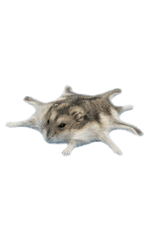 844241839