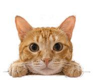 844245640