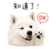 844246091