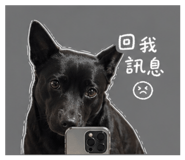 844246346