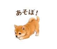 844246437