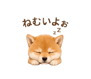 844246438