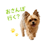 844246548
