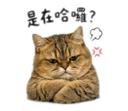 844246885