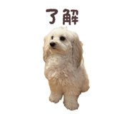 844246970
