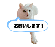 844247245