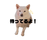 844247250