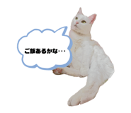 844247265