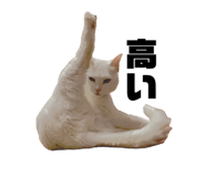 844247272