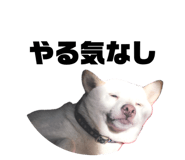 844247273