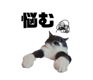 844247274