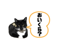 844247280