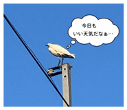 844247585