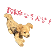 844247809