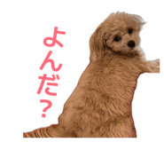 844247814