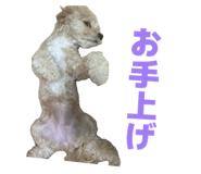 844247816