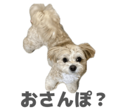 844247820