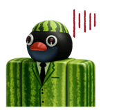 844248144