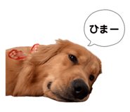 844248185