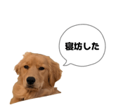 844248190