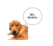 844248195