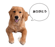 844248198