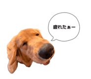 844248202