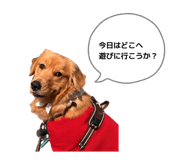 844248203
