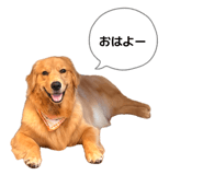 844248206