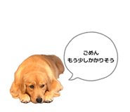 844248207