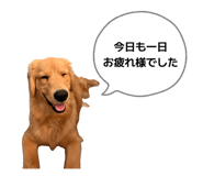 844248211