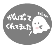 844248657