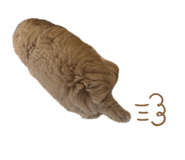 844248918