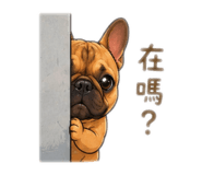 844267119