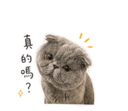 844267289