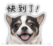 844267902