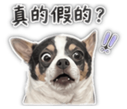 844267918