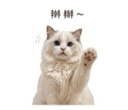 844268505