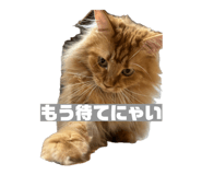 844269700