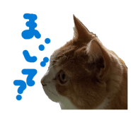 844269708